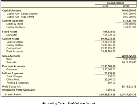 trial balance format