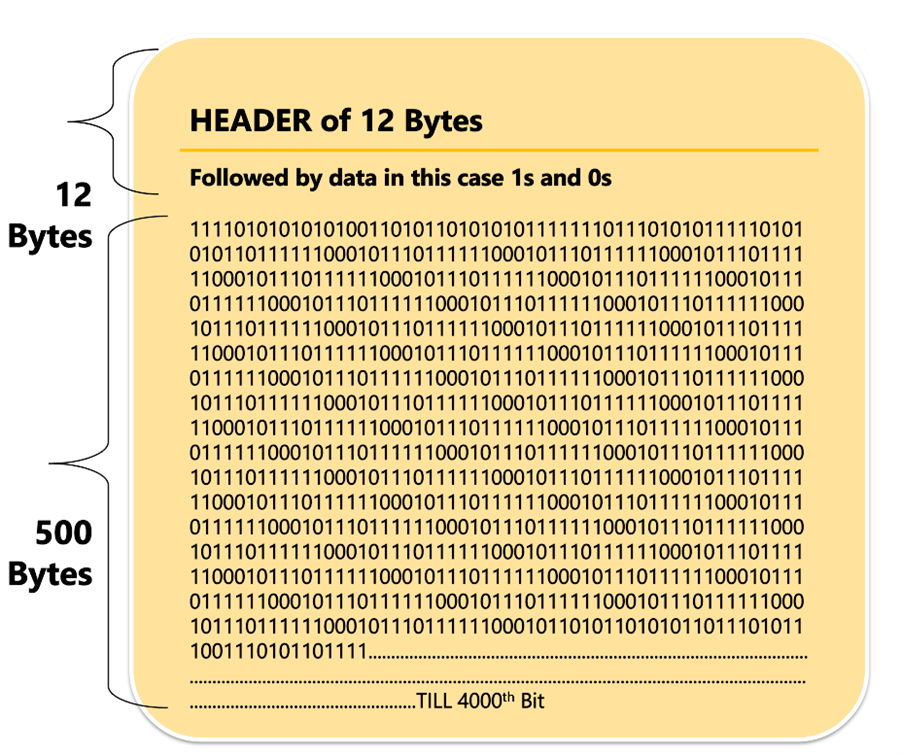 Header of 12 byte
